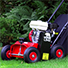 Camon Lawn Scarifier