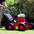 Camon LS42 Lawn Scarifier Rental