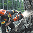 Husqvarna Petrol Chainsaw