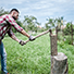 Wood Splitting